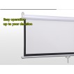 Manual Wall Screen